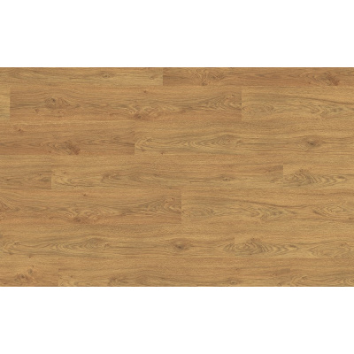 epl156_egger_asgil_oak_honey_8mm_laminlt_padl