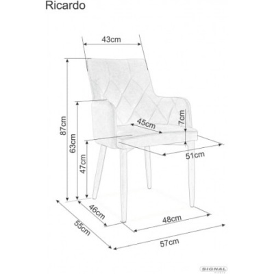 ricardo_mretek2